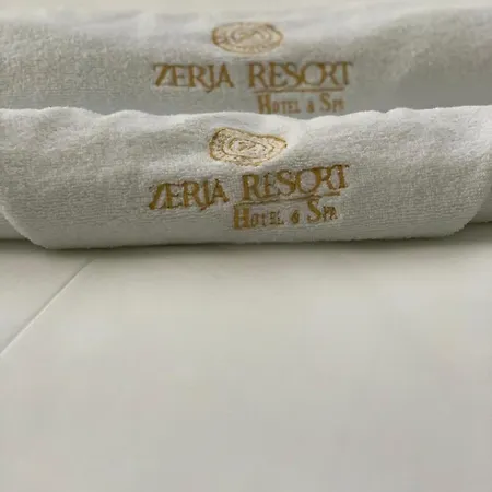 Zerja And *